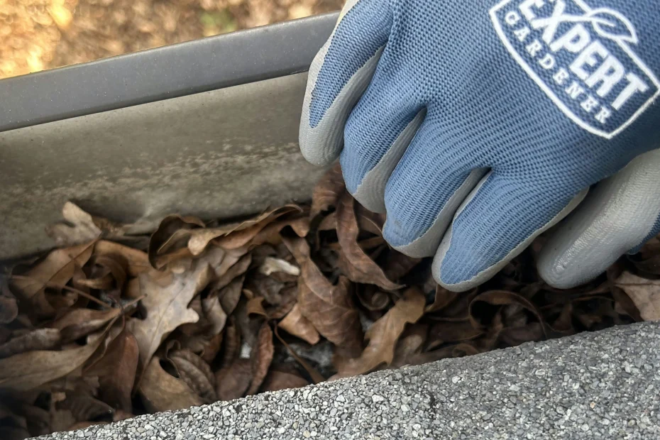 Gutter Cleaning Mustang