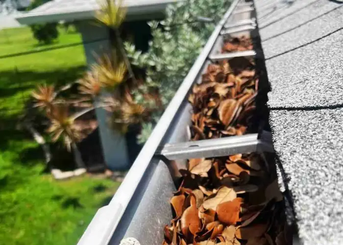 Gutter Cleaning Mustang home page